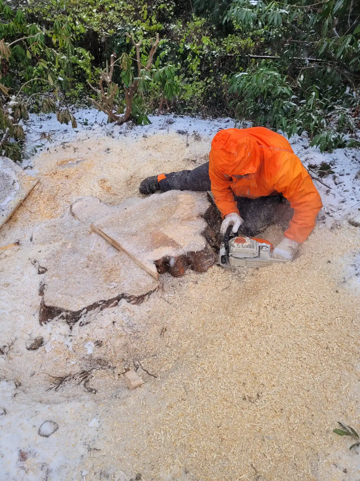 A worker in an orange jacket uses a chainsaw on a snowy ground